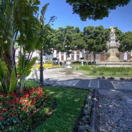 Sabino Dreams Santa Cruz Apartment Luaran gambar