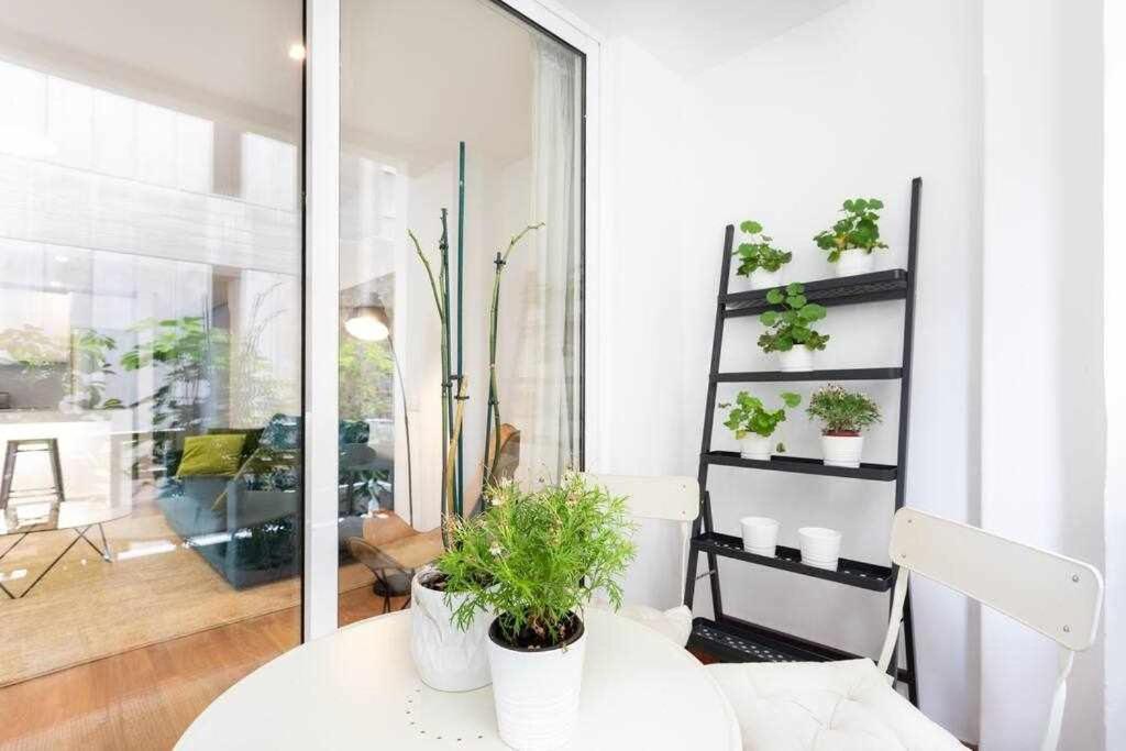 Sabino Dreams Santa Cruz Apartment Luaran gambar